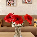 Appartement L'orizzonte *