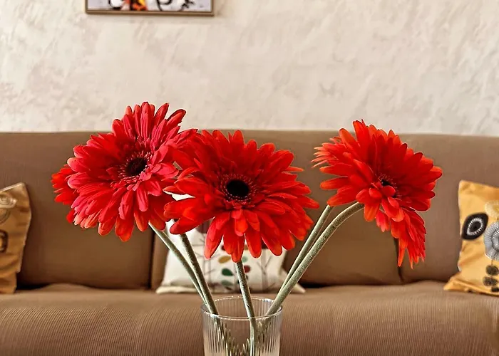 Apartment L'orizzonte *